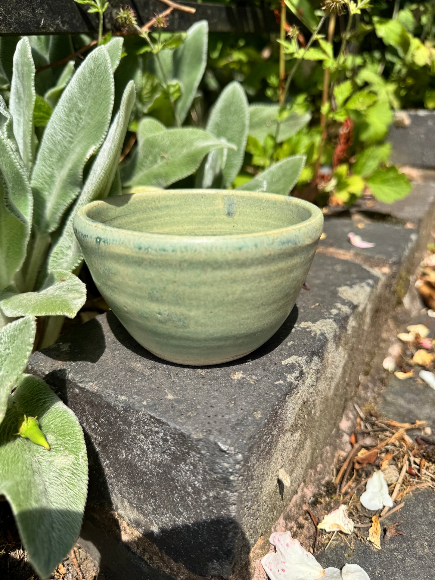 Mini handmade olive bowl/espresso cup